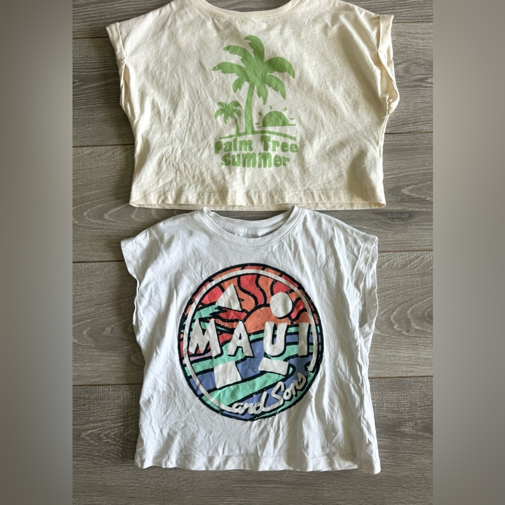 Zara summer tee lot